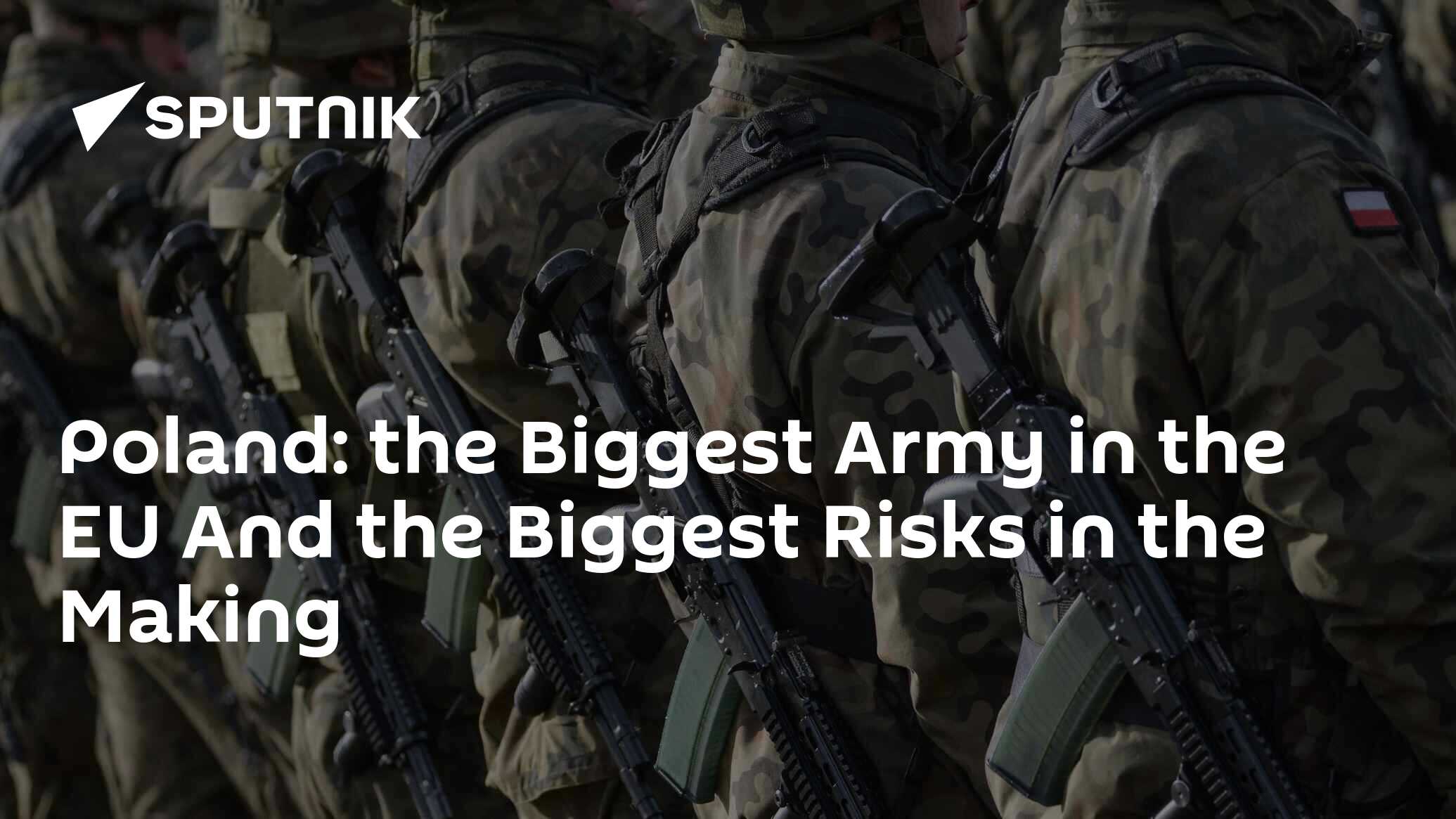 POLAND BUILT THE E U S BIGGEST ARMY BUT THE THREAT HAS CHANGED visual data 8