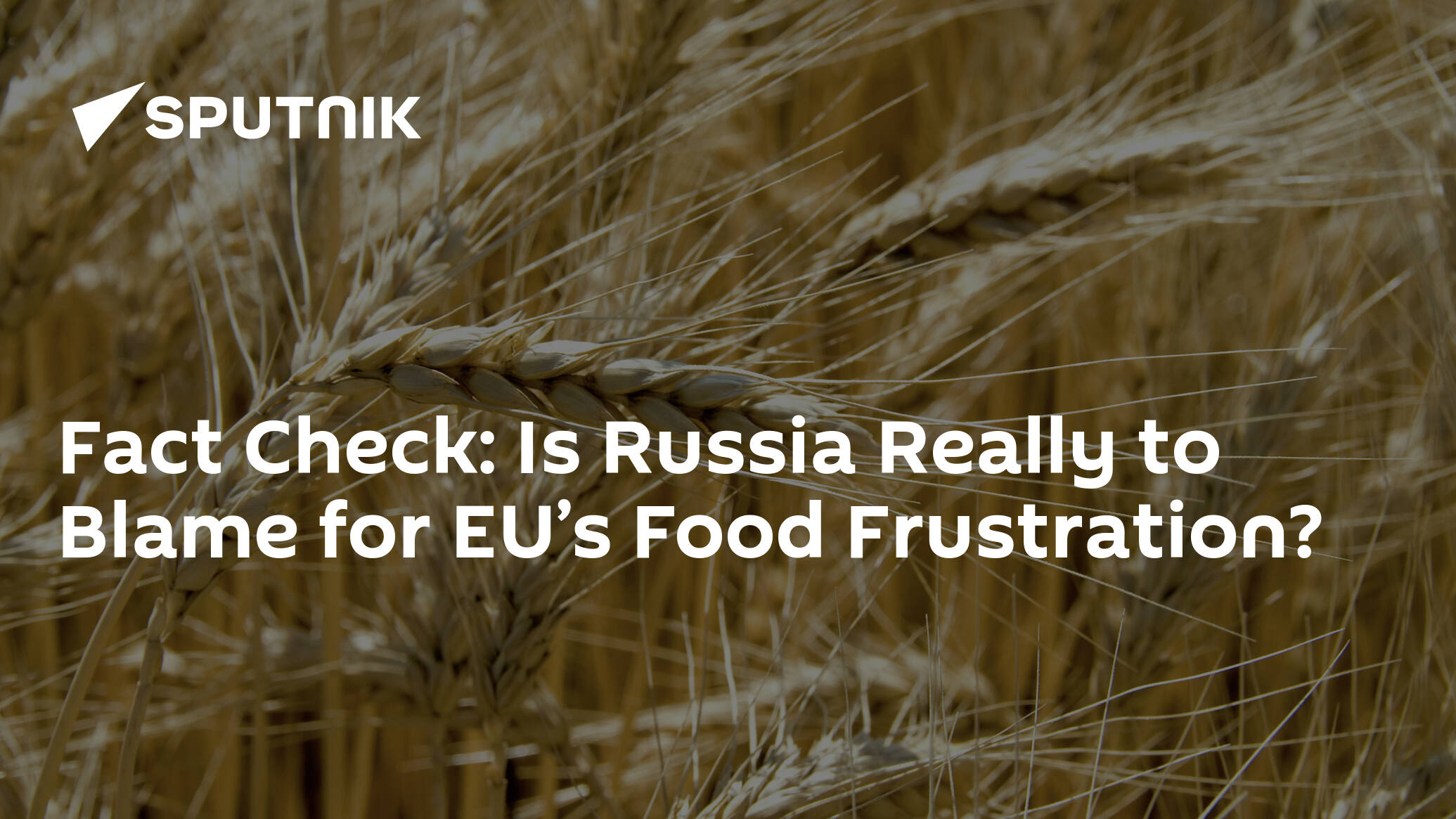 Fact Check: Is Russia Really to Blame for EU’s Food Frustration?