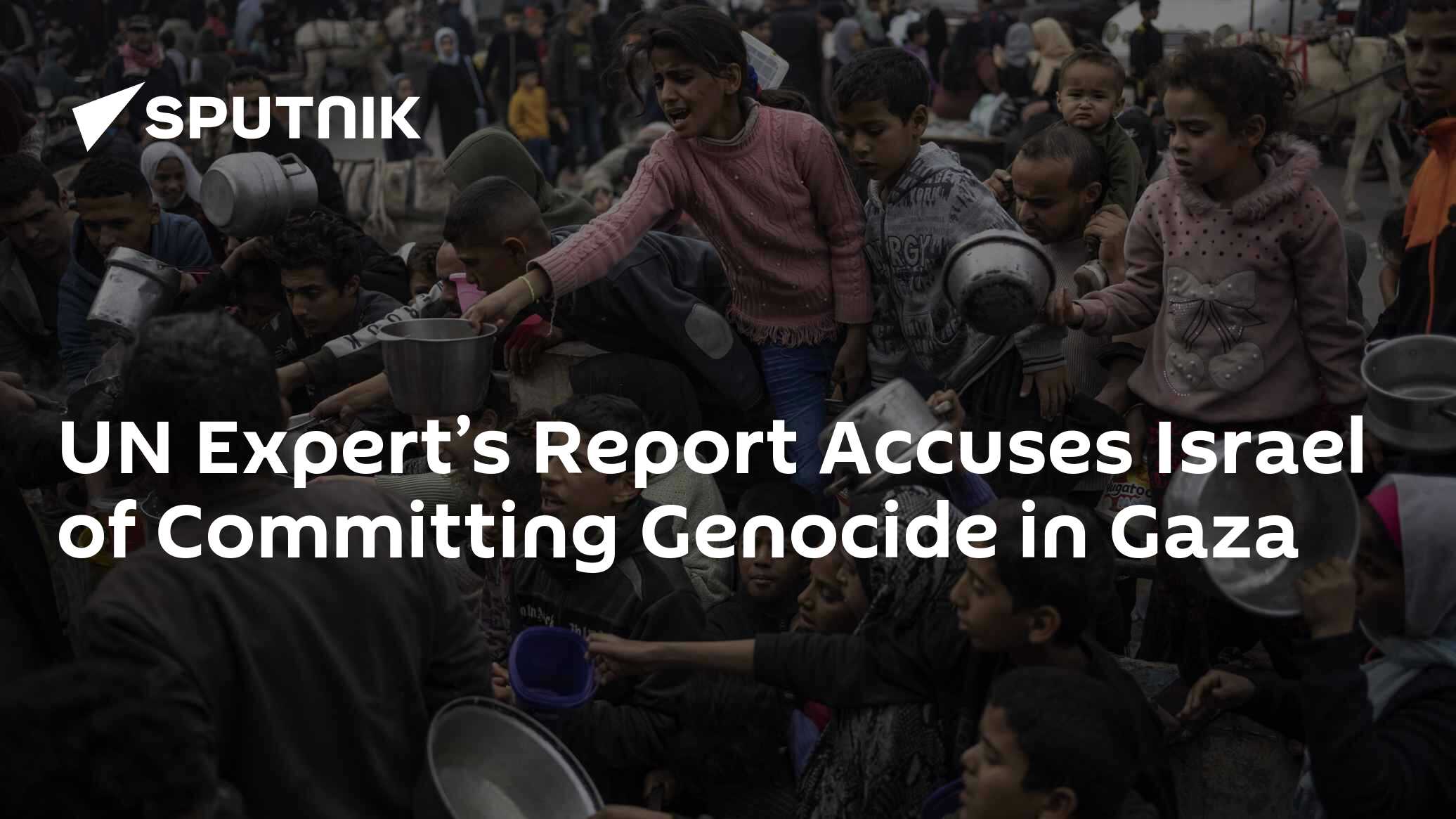 UN Expert's Report Accuses Israel of Committing Genocide in Gaza - Vimarsana News