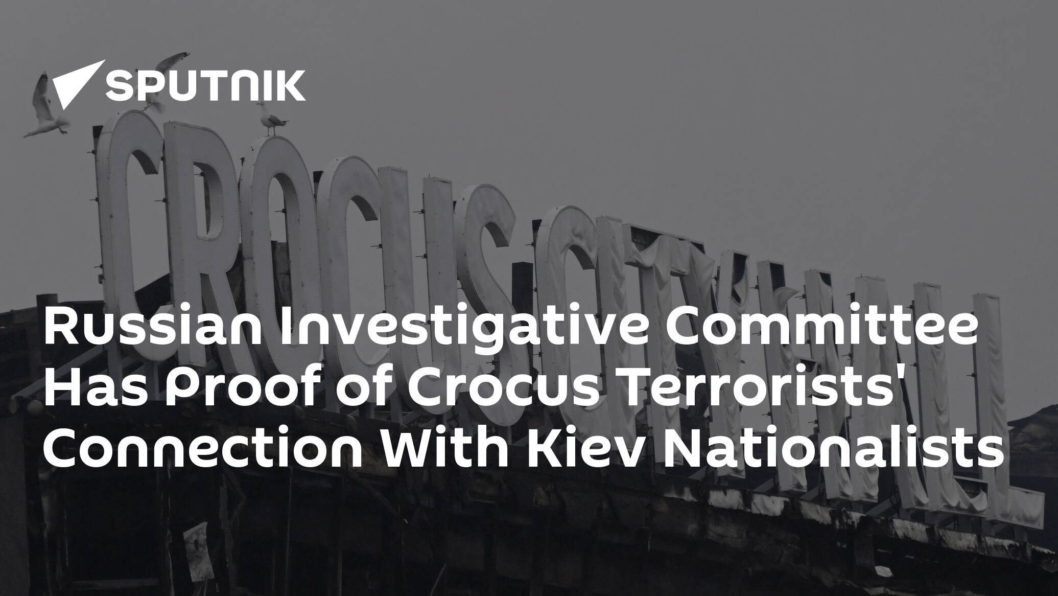 Russian Investigative Committee Has Proof of Crocus Terrorists' Connection With