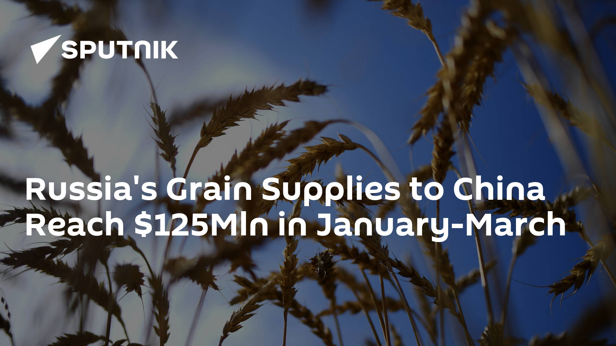 Russia's Grain Supplies to China Reach 5Mln in January-March