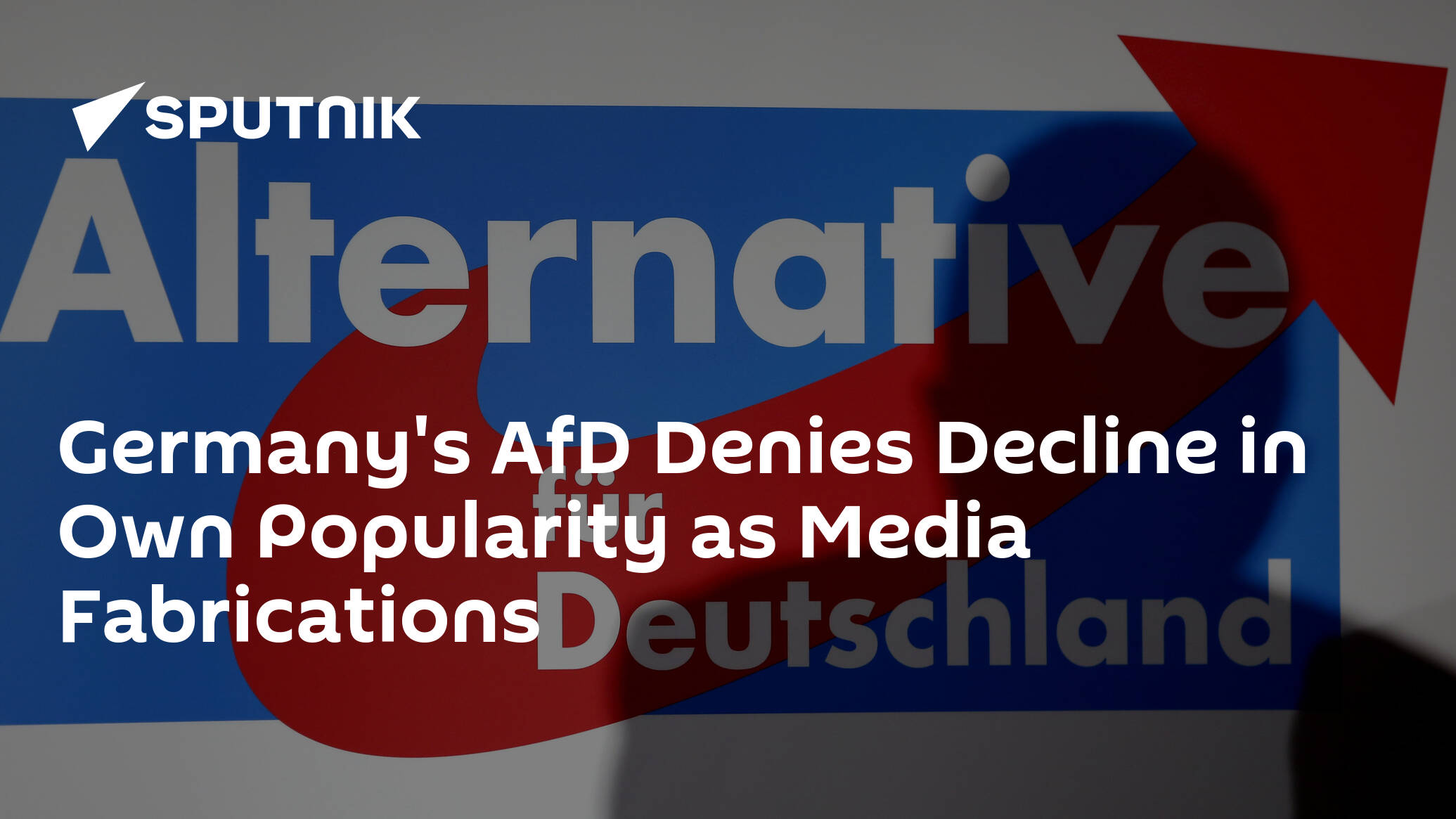Germany's AfD Denies Decline in Own Popularity as Media Fabrications