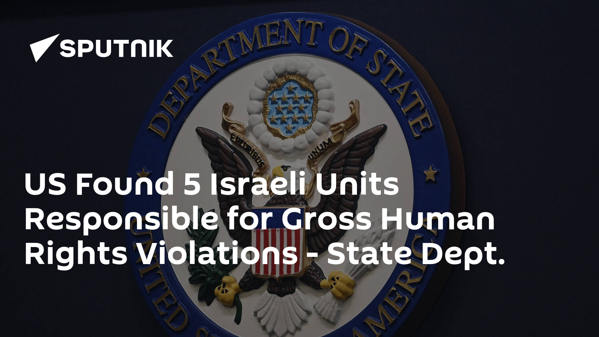 US Found 5 Israeli Units Responsible for Gross Human Rights Violations – State Dept.