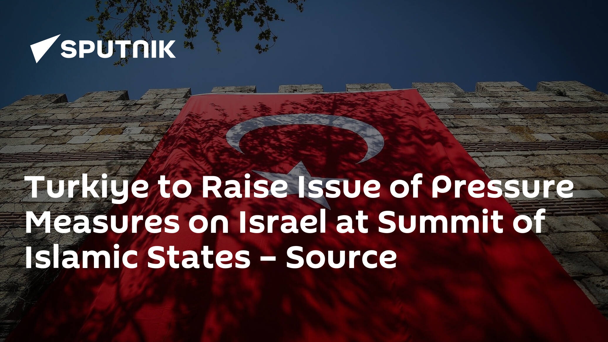 Turkiye to Raise Issue of Pressure Measures on Israel at Summit of Islamic States – Source