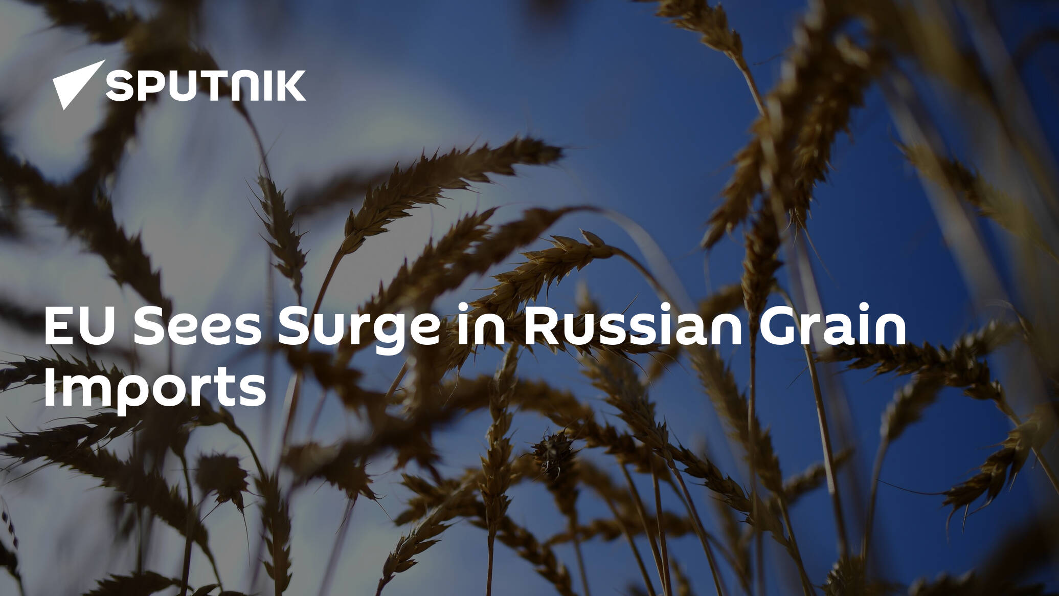 EU Sees Surge in Russian Grain Imports