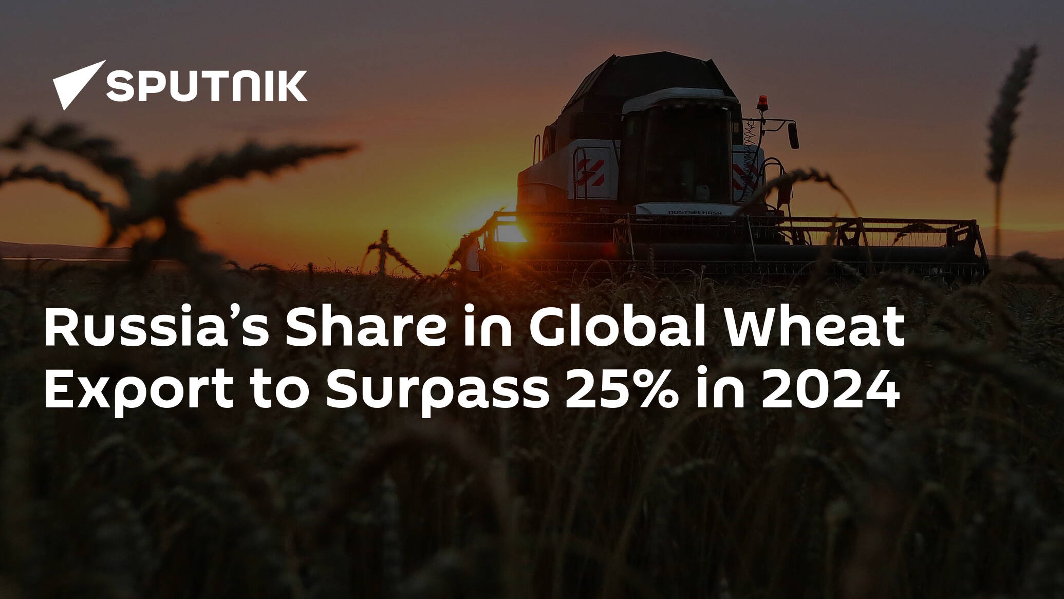 Russia’s Share in Global Wheat Export to Surpass 25% in 2024
