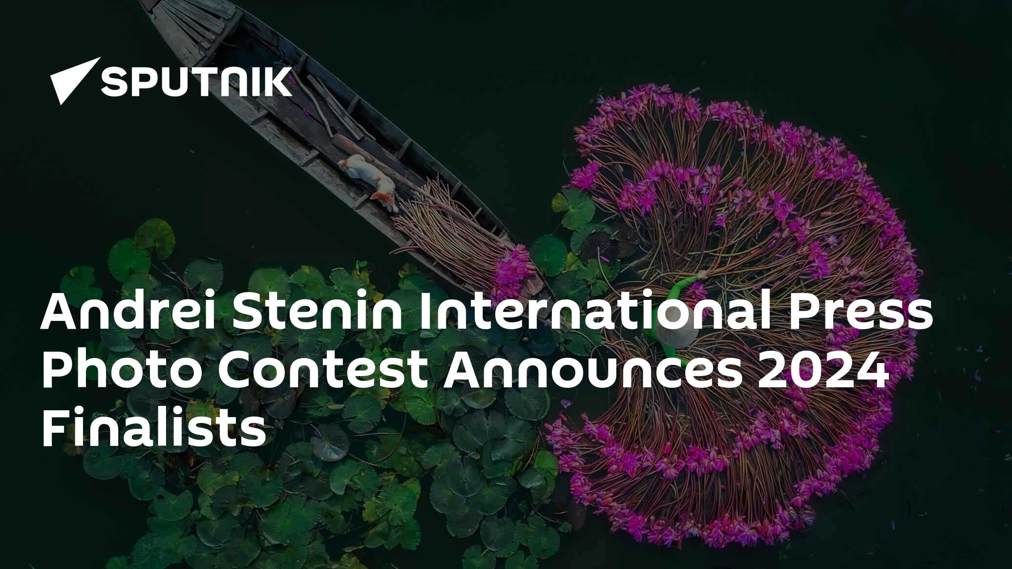 Andrei Stenin International Press Photo Contest Announces 2024 Finalists