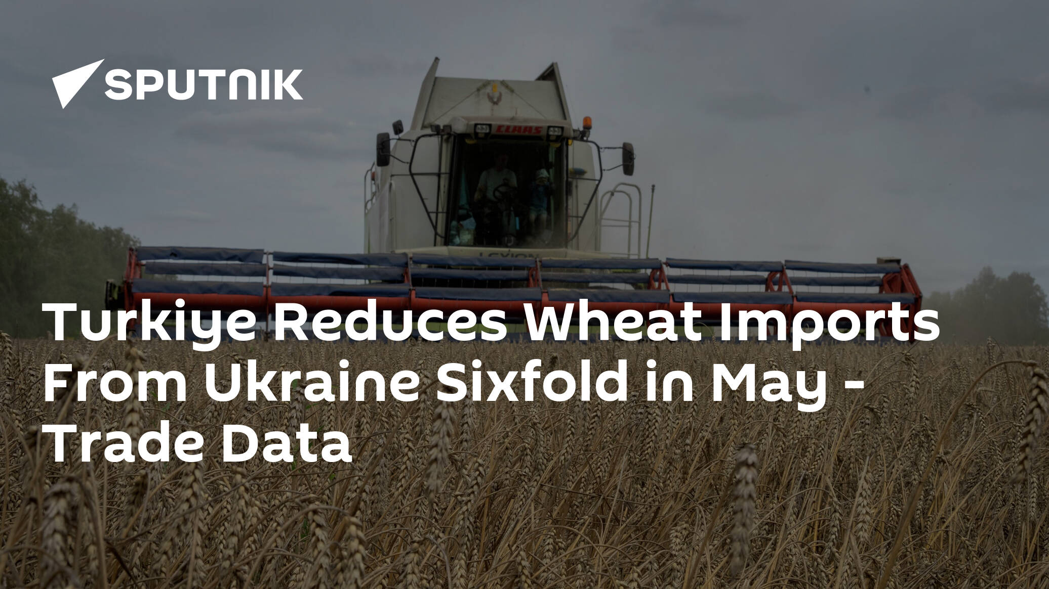 Turkiye Reduces Wheat Imports From Ukraine Sixfold in May – Trade Data