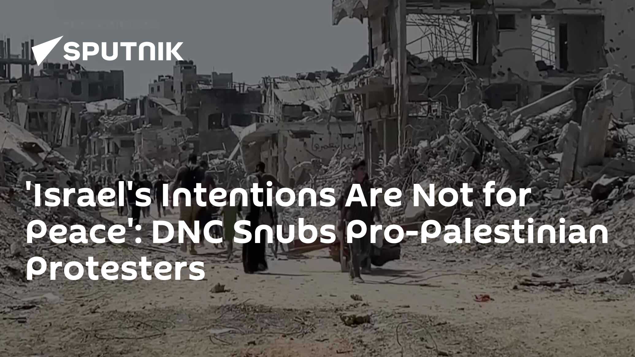 'Israel's Intentions Are Not for Peace': DNC Snubs Pro-Palestinian Protesters 