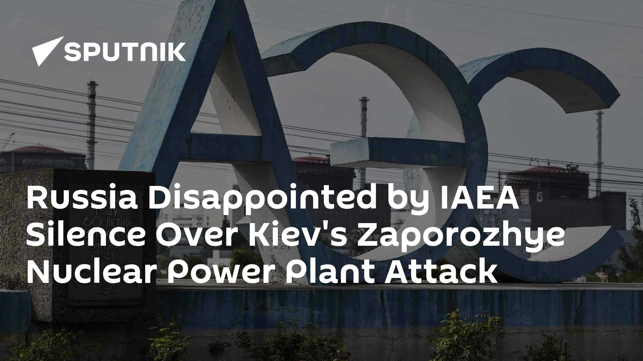 Russia Disappointed by IAEA Silence Over Kiev's Zaporozhye Nuclear Power Plant Attack