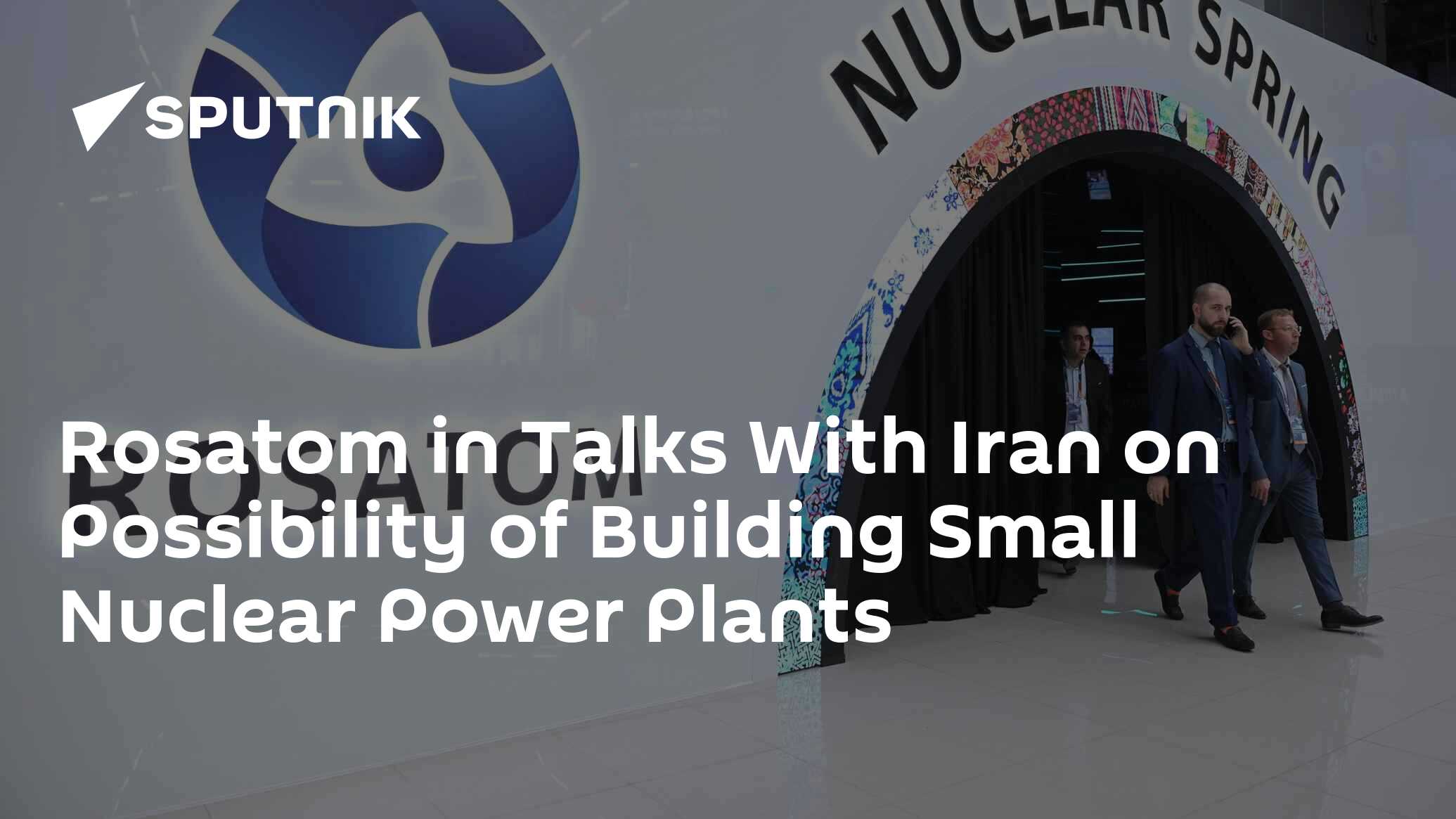 Rosatom in Talks With Iran on Possibility of Building Small Nuclear Power Plants