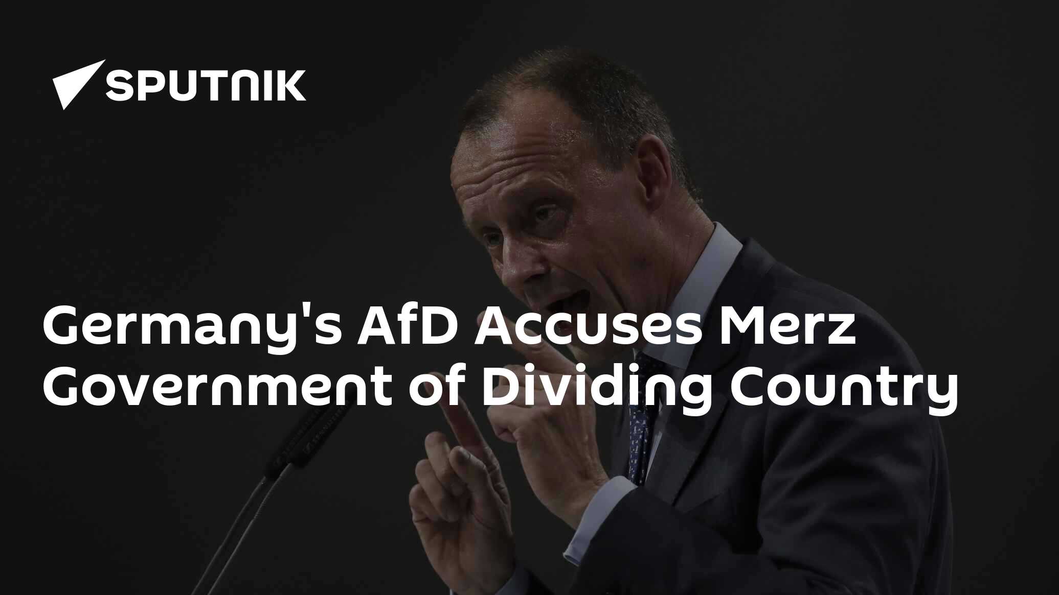 Germany's AfD Accuses Merz Government of Dividing Country