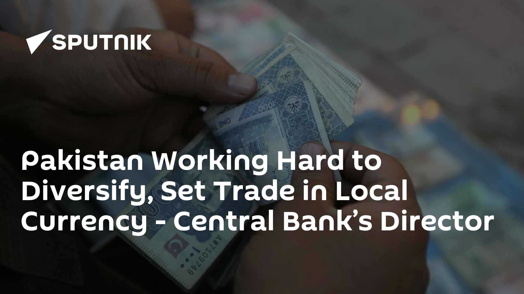 Pakistan Working Hard to Diversify, Set Trade in Local Currency - Central Bank’s Director