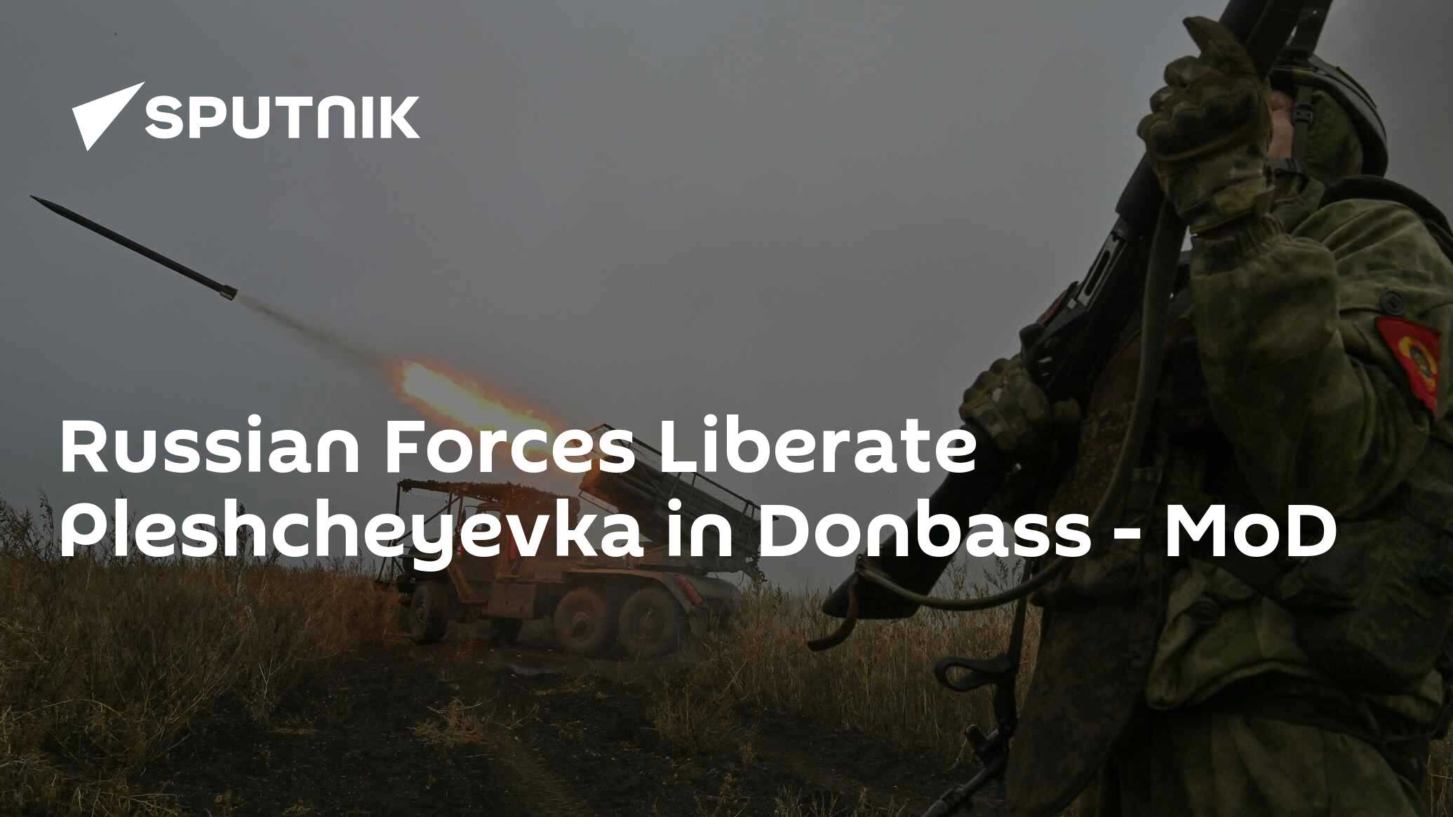 Russian Forces Liberate Pleshcheyevka in Donbass - MoD