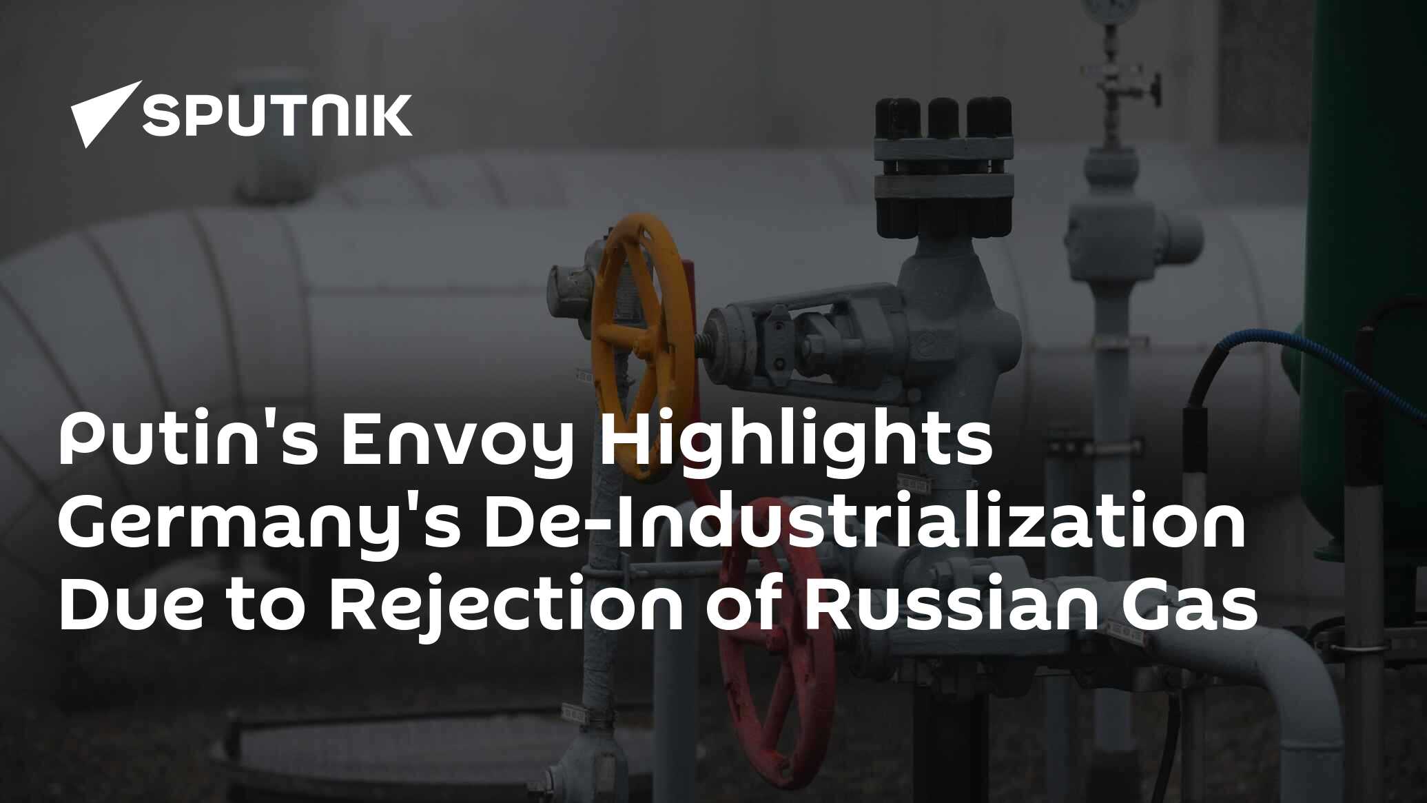 Putin's Envoy Highlights Germany's De-Industrialization Due to Rejection of Russian Gas