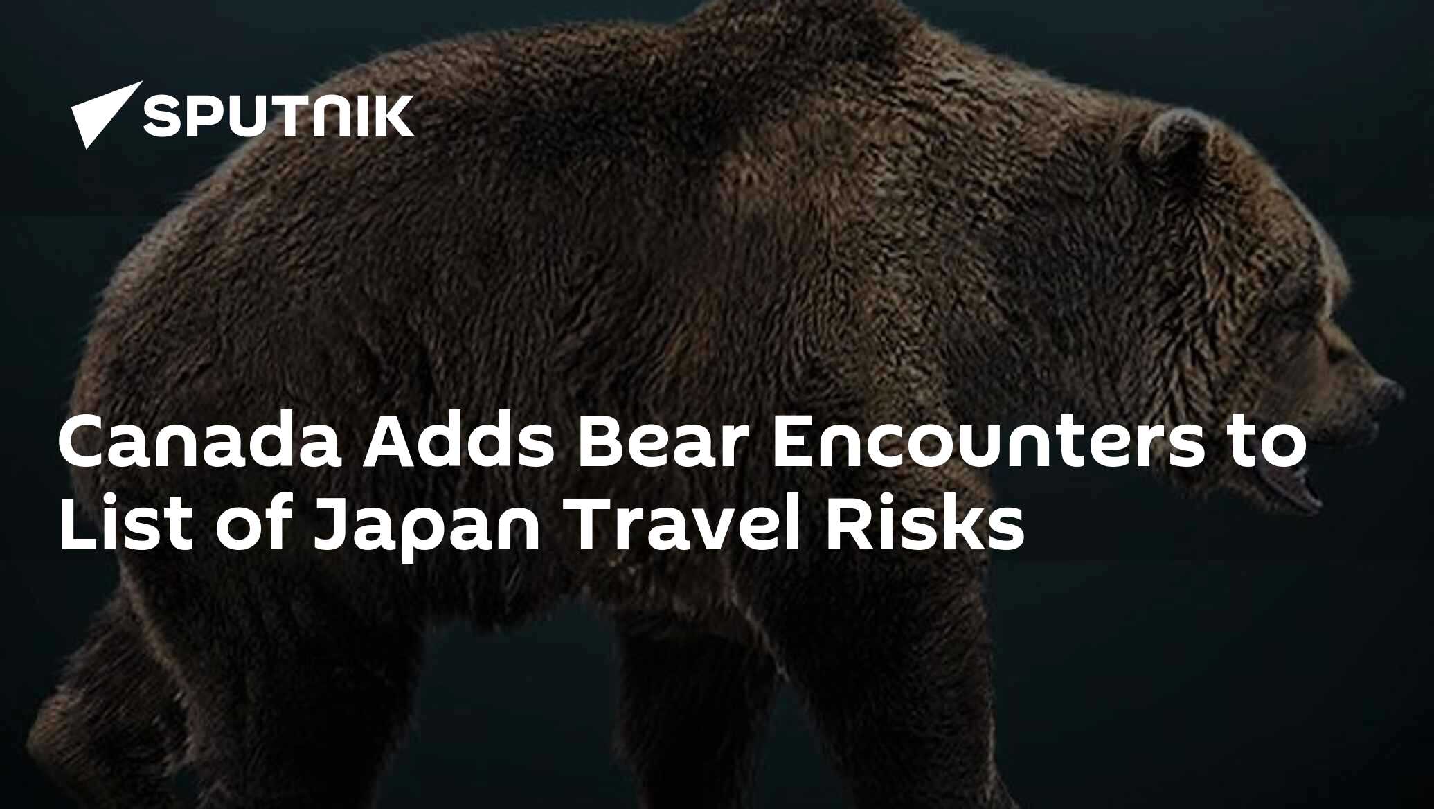 Canada Adds Bear Encounters to List of Japan Travel Risks
