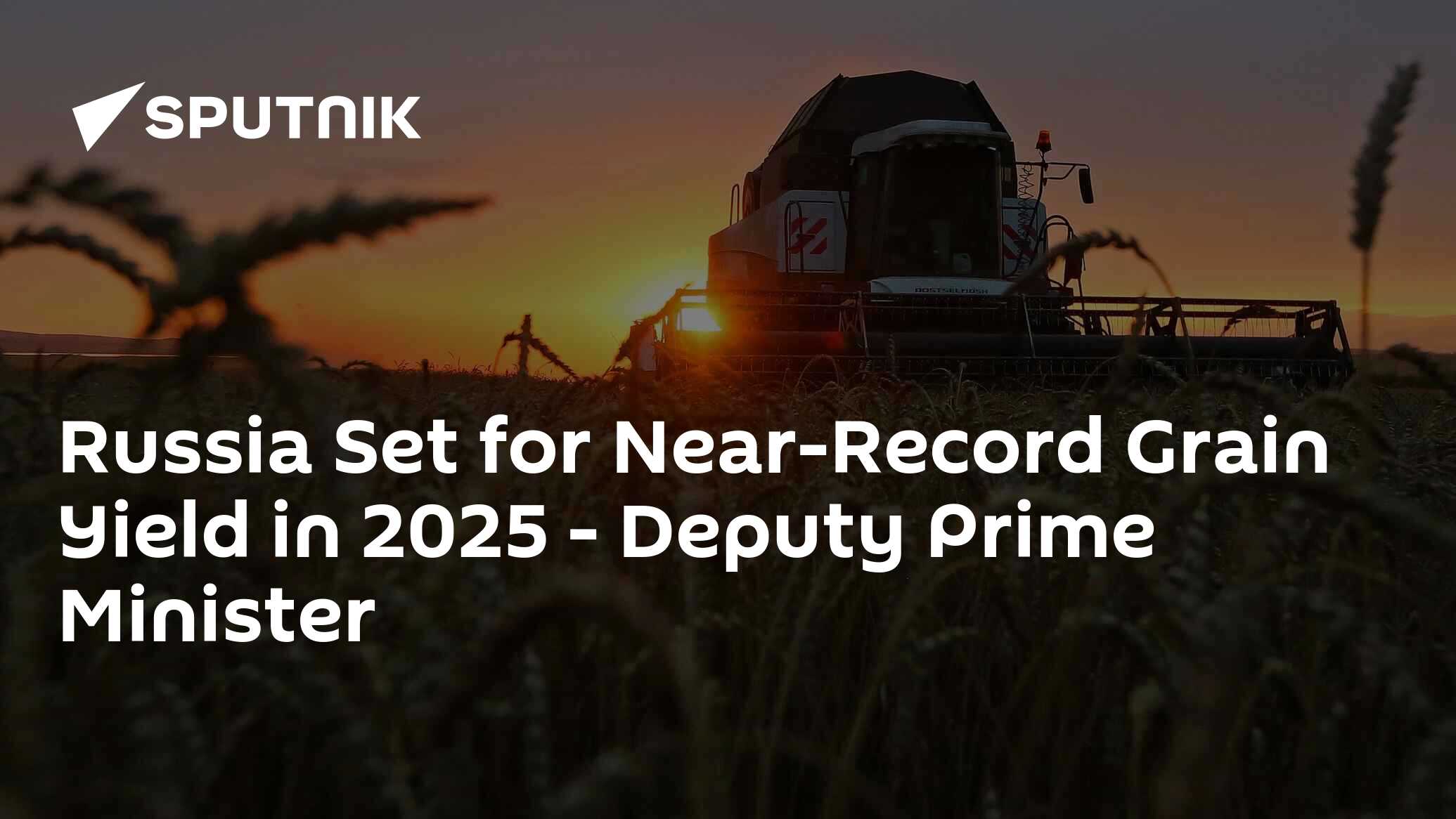 Russia Set for Near-Record Grain Yield in 2025 - Deputy Prime Minister