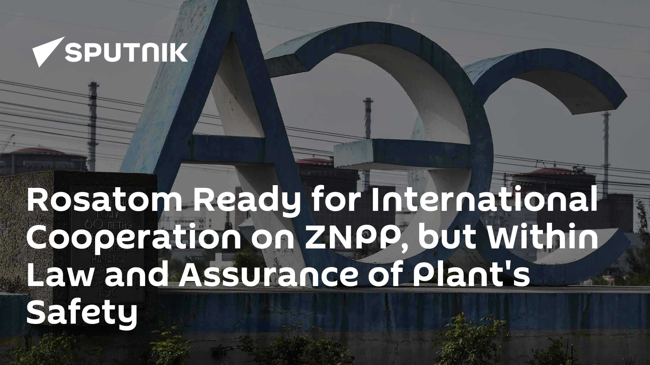 Rosatom Ready for International Cooperation on ZNPP, but Within Law and Assurance of Plant’s Safety