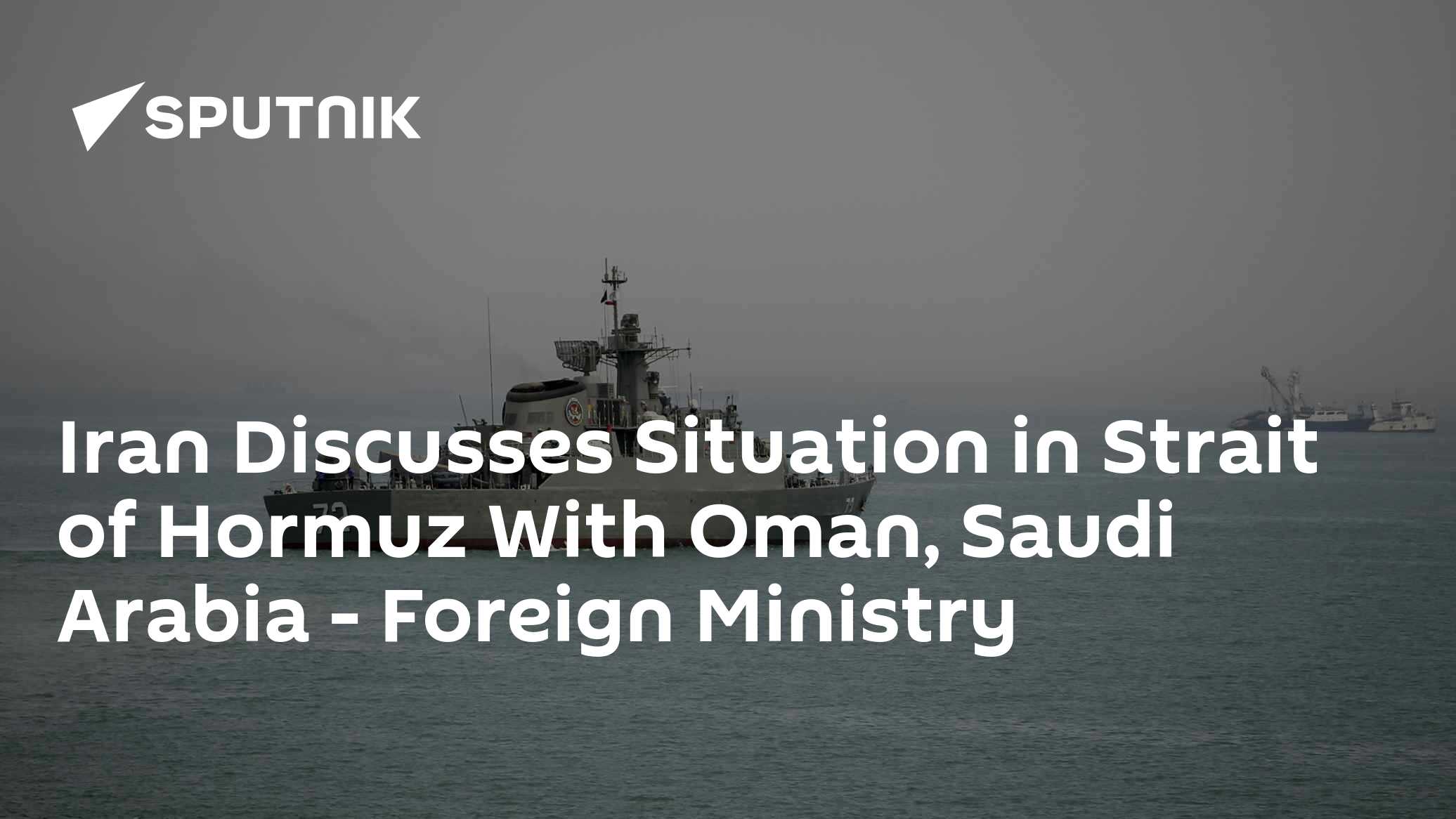 Iran Discusses Situation in Strait of Hormuz With Oman, Saudi Arabia - Foreign Ministry