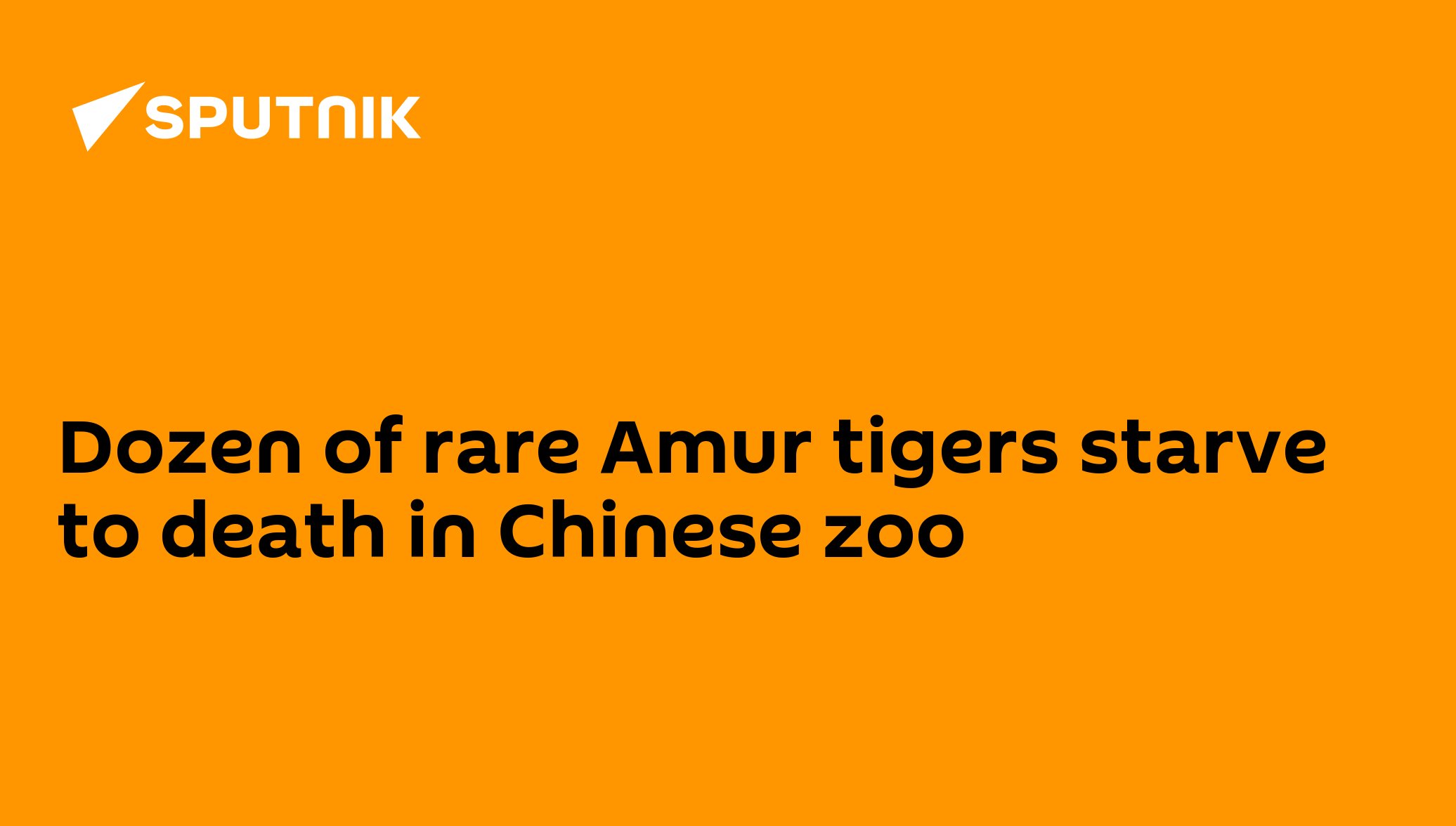 Dozen of rare Amur tigers starve to death in Chinese zoo - 12.03.2010