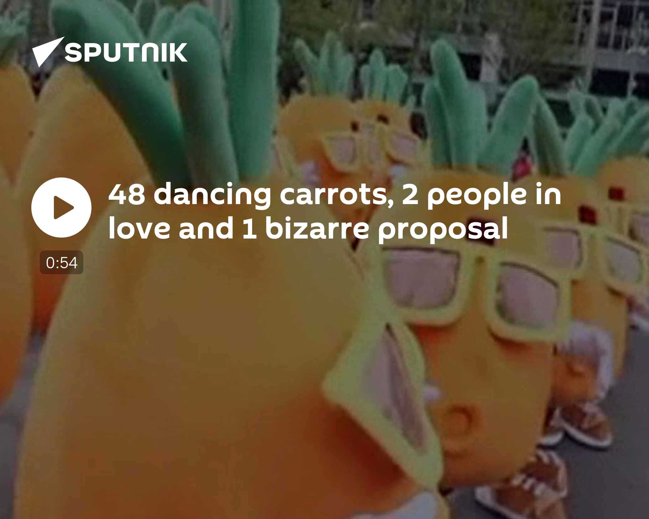 48 Dancing Carrots 2 People In Love And 1 Bizarre Proposal 10 08 48-dancing-carrots-2-people-in-love-and-1-bizarre-proposal-10-08