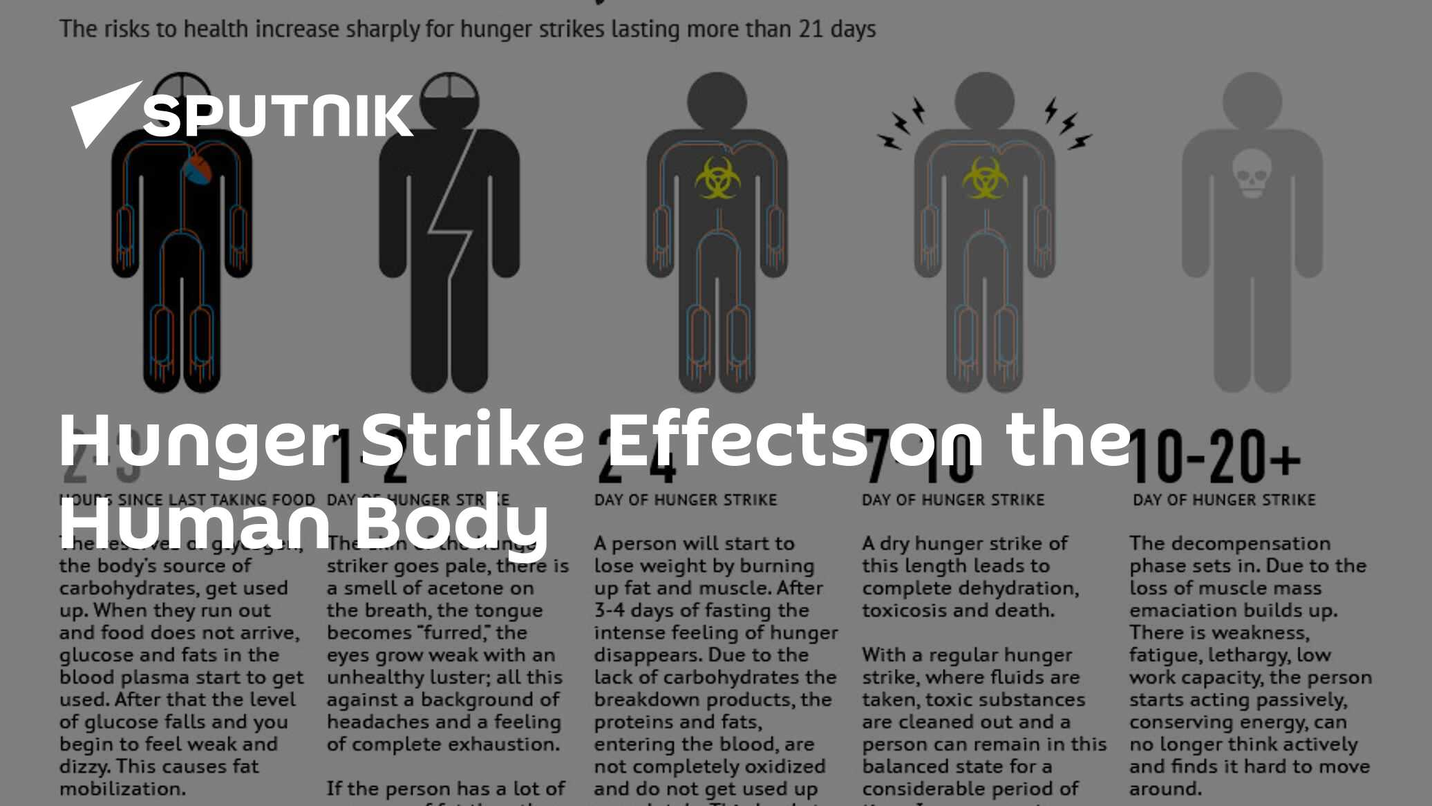 Hunger Strike Effects on the Human Body 28.04.2012, Sputnik International