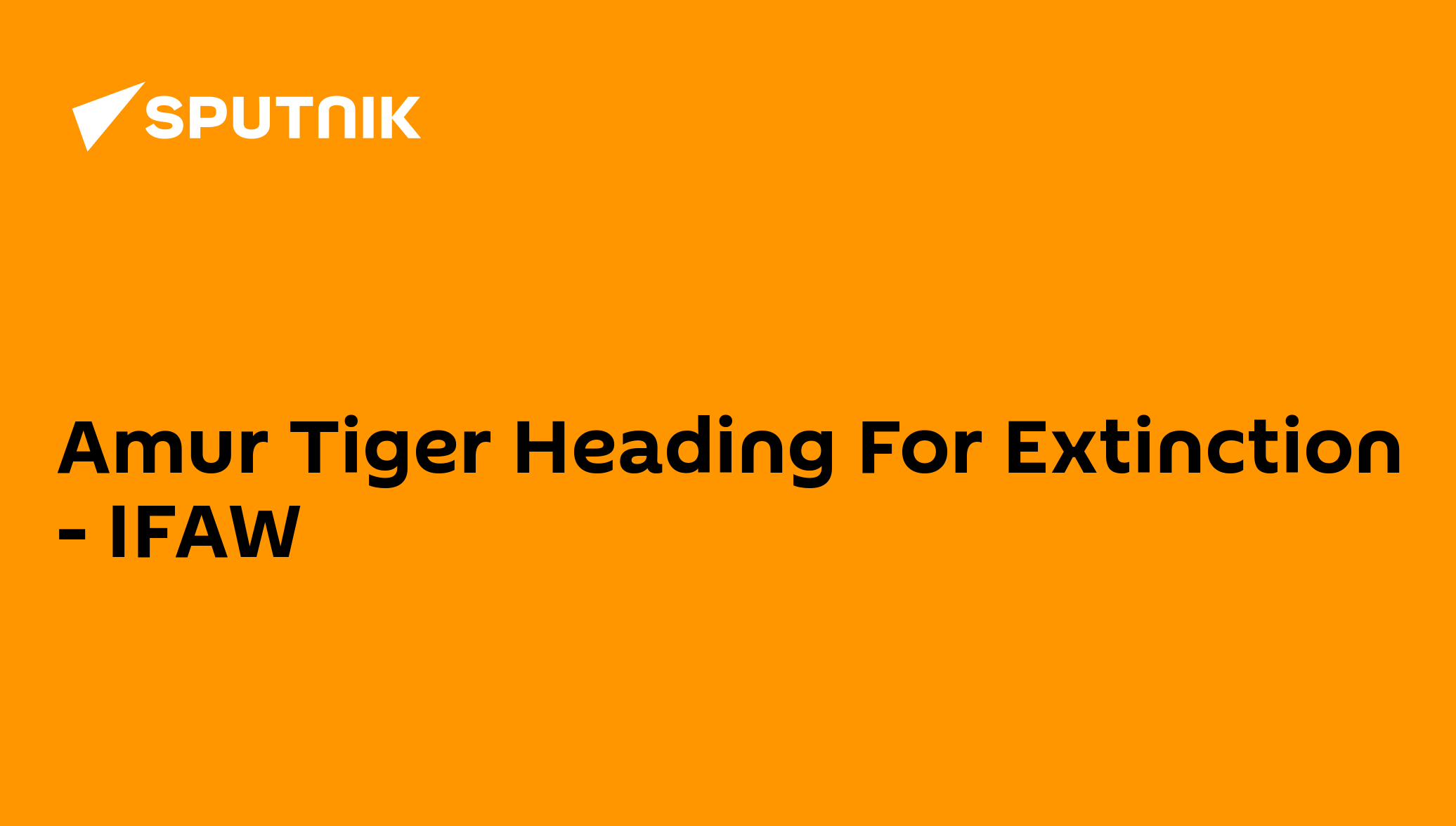 Amur Tiger Heading For Extinction - IFAW - 27.09.2012, Sputnik