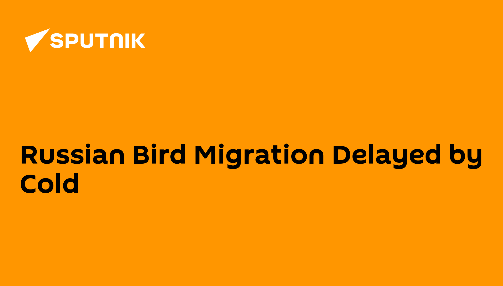 Russian bird migration delayed by cold
