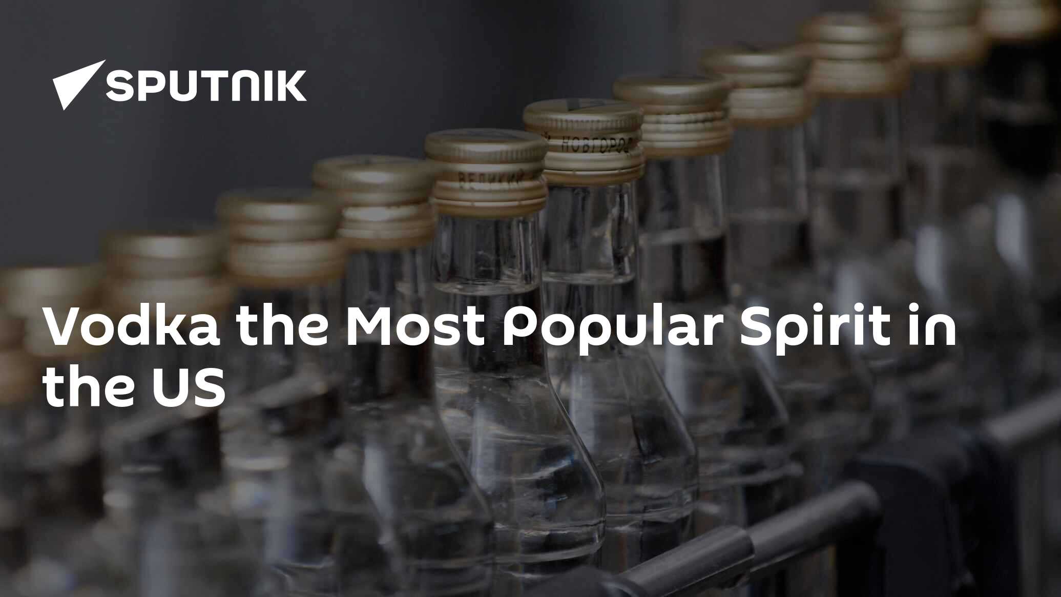 Vodka the Most Popular Spirit in the US 28.06.2013, Sputnik International