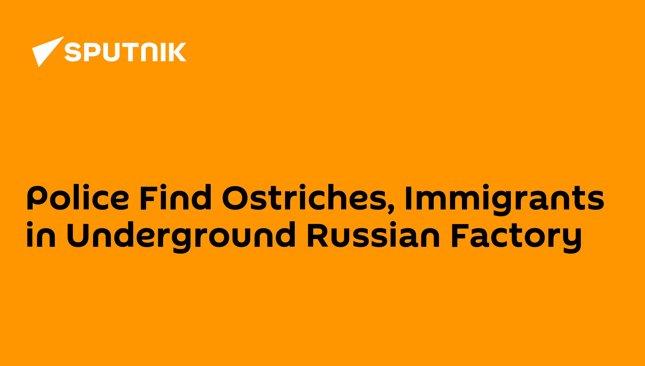 Police Find Ostriches, Immigrants in Underground Russian Factory 15.