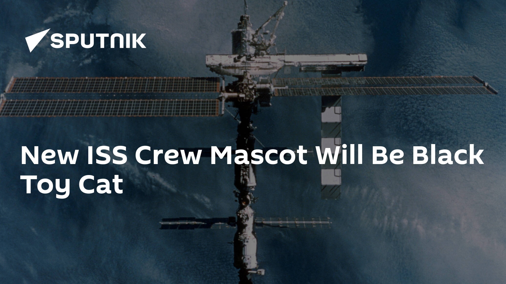 New ISS Crew Mascot Will Be Black Toy Cat