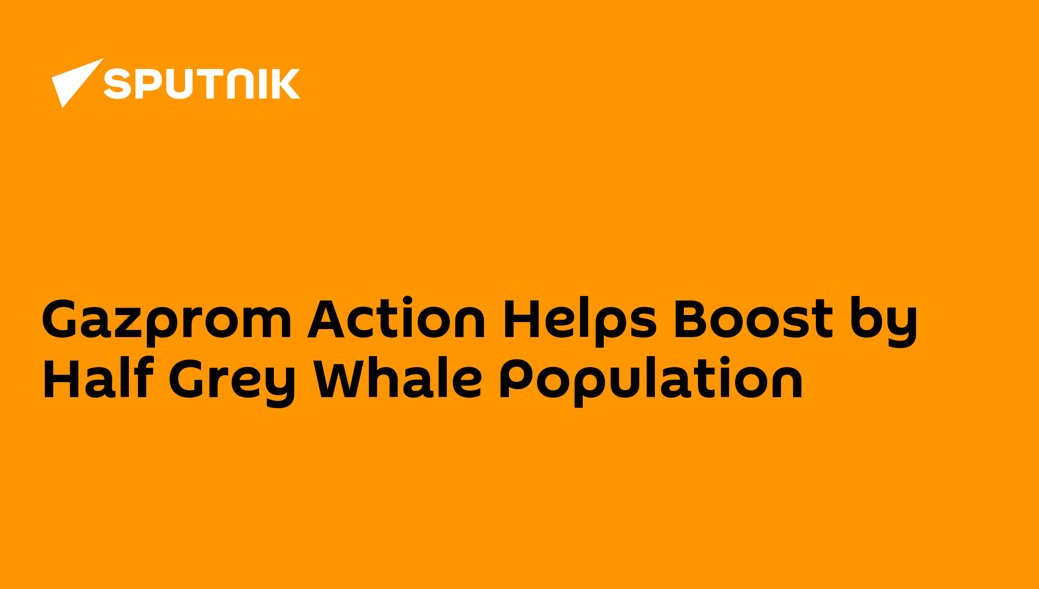 Gazprom Action Helps Boost by Half Grey Whale Population - 21.08.2014