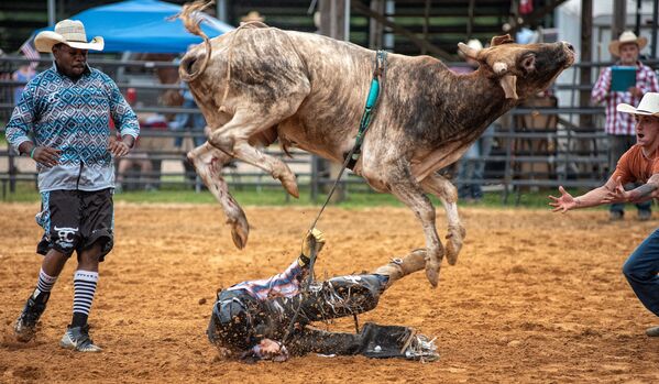 A bull throws its rider off during the God and Country rodeo held at the Hayseed Cowboy church on 4 July 2020, in Thaxton, Mississippi.   - Sputnik International