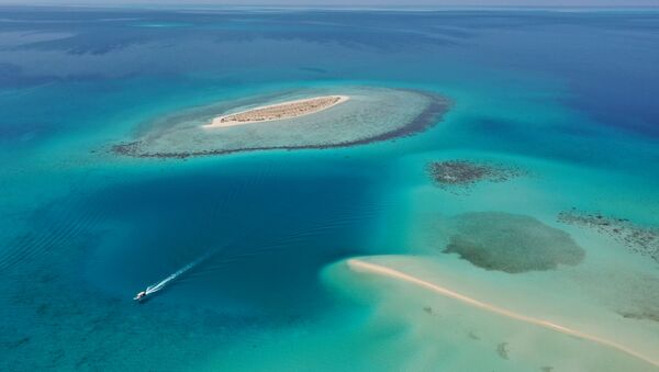 Part of Red Sea project location - Sputnik International