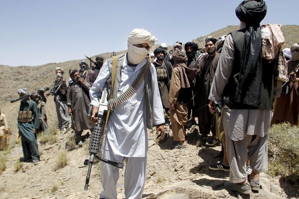 Afghan Troops Kill 74 Taliban Militants During Clashes in Kandahar Province Afghan Troops Kill 74 Taliban Militants During Clashes in Kandahar Province - Sputnik International