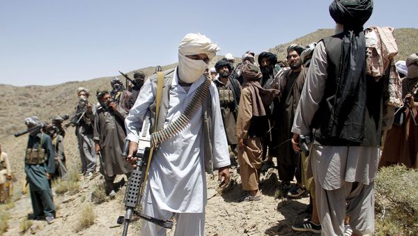 In this Friday, May 27, 2016 photo, members of a breakaway faction of the Taliban fighters walks during a gathering, in Shindand district of Herat province, Afghanistan - Sputnik International