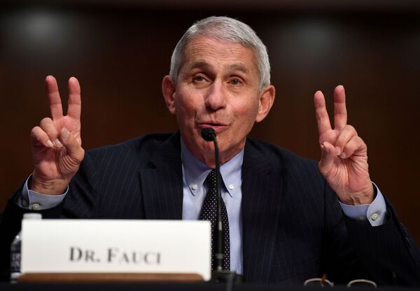 'They Are Making Things Up': Anthony Fauci’s Wife Slams White House for Targeting the Immunologist 'They Are Making Things Up': Anthony Fauci’s Wife Slams White House for Targeting the Immunologist - Sputnik International