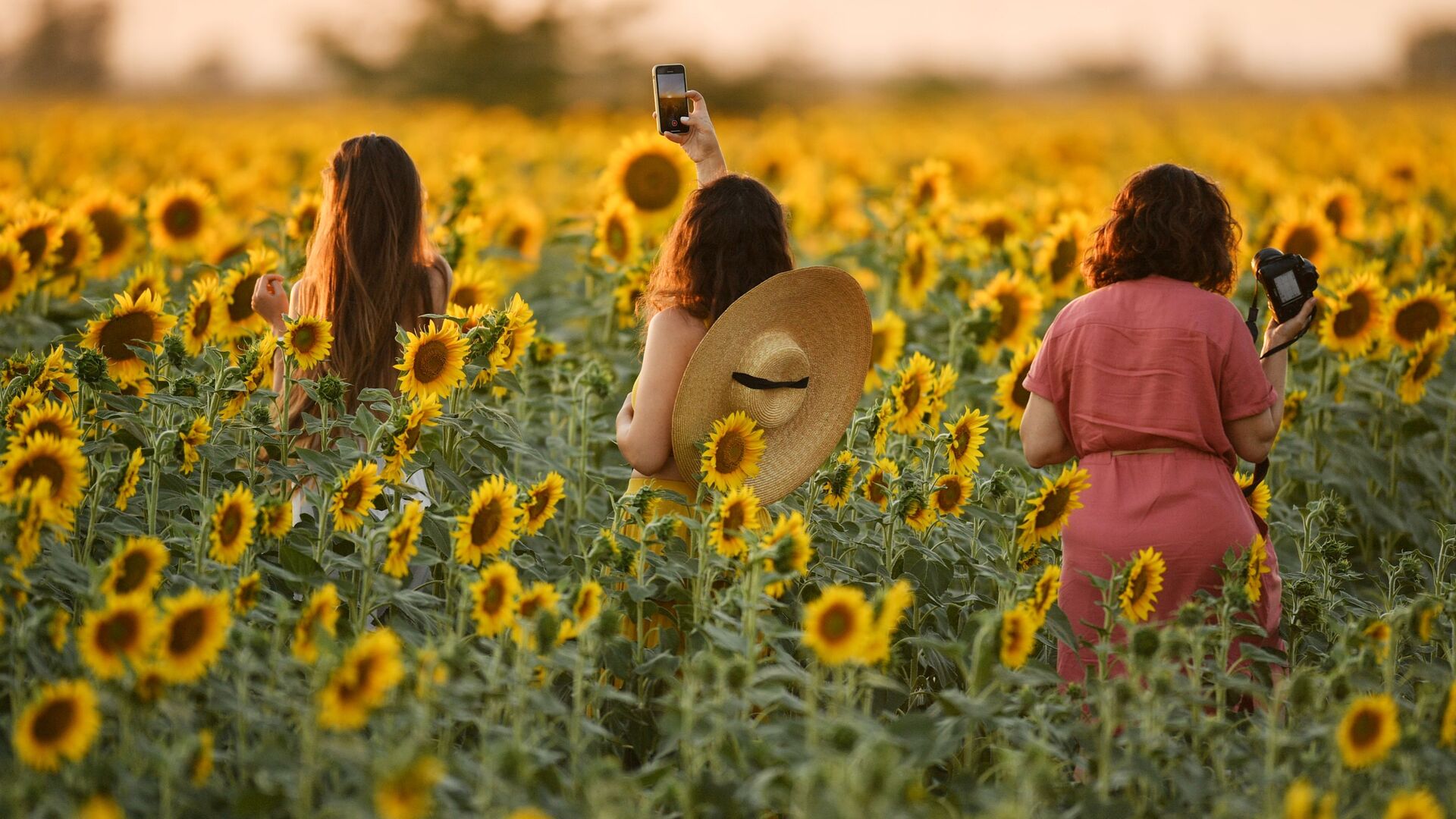 Girls during sunflower flowering on a field near Simferopol district, Crimea - Sputnik International, 1920, 29.03.2022