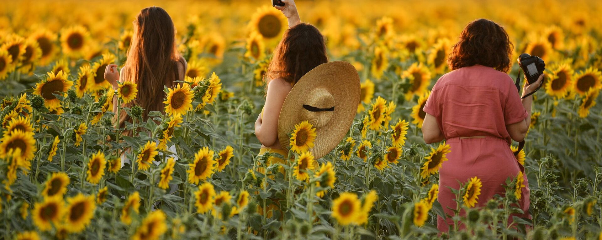 Girls during sunflower flowering on a field near Simferopol district, Crimea - Sputnik International, 1920, 29.03.2022