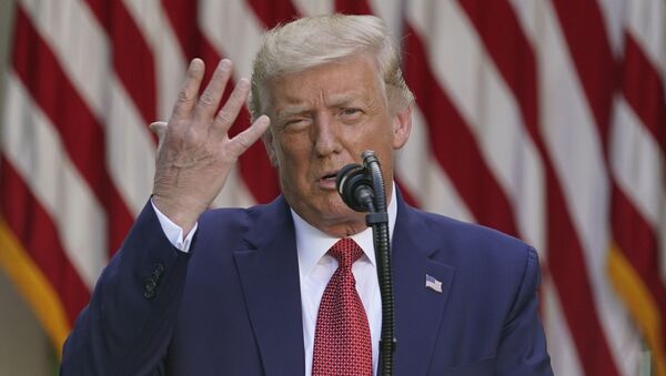 President Donald Trump speaks during a news conference in the Rose Garden of the White House, Tuesday, July 14, 2020, in Washington - Sputnik International