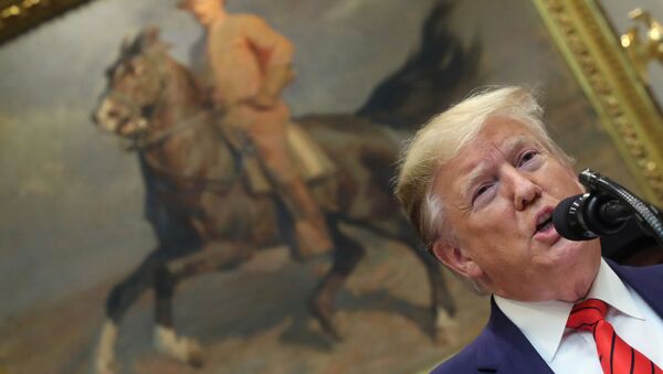 U.S. President Donald Trump speaks in front of a portrait of former president Theodore Roosevelt during an event  in the Roosevelt Room of the White House in Washington, U.S., October 9, 2019 - Sputnik International