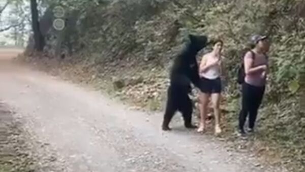 Couple goal: a bear and a girl make selfie together - Sputnik International