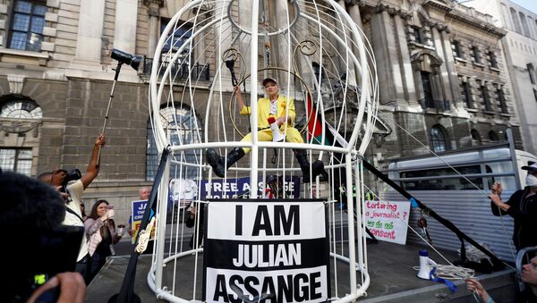 Vivienne Westwood demonstrates outside the Old Bailey in support of Julian Assange, in London, Britain, July 21, 2020 - Sputnik International