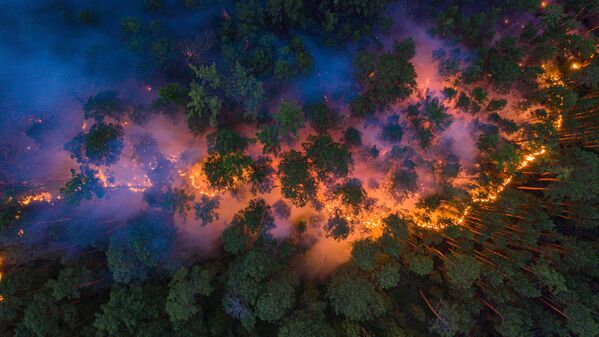 An aerial view shows a forest fire in Krasnoyarsk Region, Russia July 17, 2020 - Sputnik International
