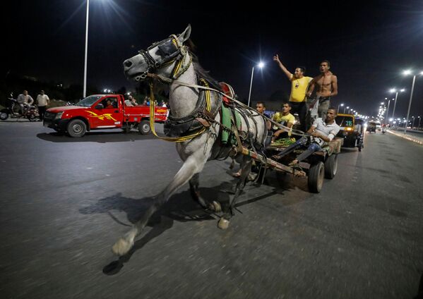 Egyptian merchants are seen in action during a horse cart race showing off their horses's strengths, following the outbreak of the coronavirus disease (COVID-19), in Cairo, Egypt July 17, 2020 - Sputnik International