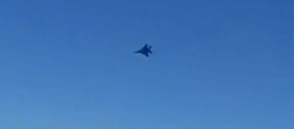 A purportedly Israeli jet fighter that flew close to an Iranian airliner over Damascus, Syria, on July 23, 2020 - Sputnik International