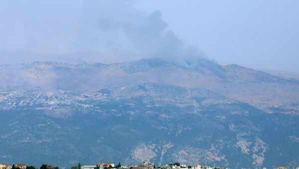 Smoke rises from the disputed Shebaa Farms area as seen from Marjayoun village in southern Lebanon, Lebanon July 27, 2020 - Sputnik International
