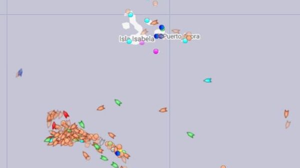 Ecuador’s Navy ‘on Alert’ After Scores of Chinese Fishing Boats Spotted Near Galapagos Islands - Sputnik International