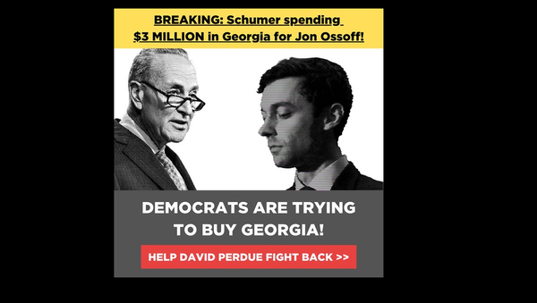 BREAKING: Chuck Schumer’s super PAC is spending $3 MILLION on false attack ads against me!  I need YOU to help me set the record straight. We must not let Schumer and the radical left buy Georgia’s Senate for the Democrats! - Sputnik International