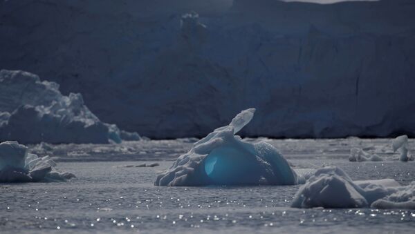 An iceberg floats along the water, close to Fournier Bay, Antarctica, 3 February 2020 - Sputnik International